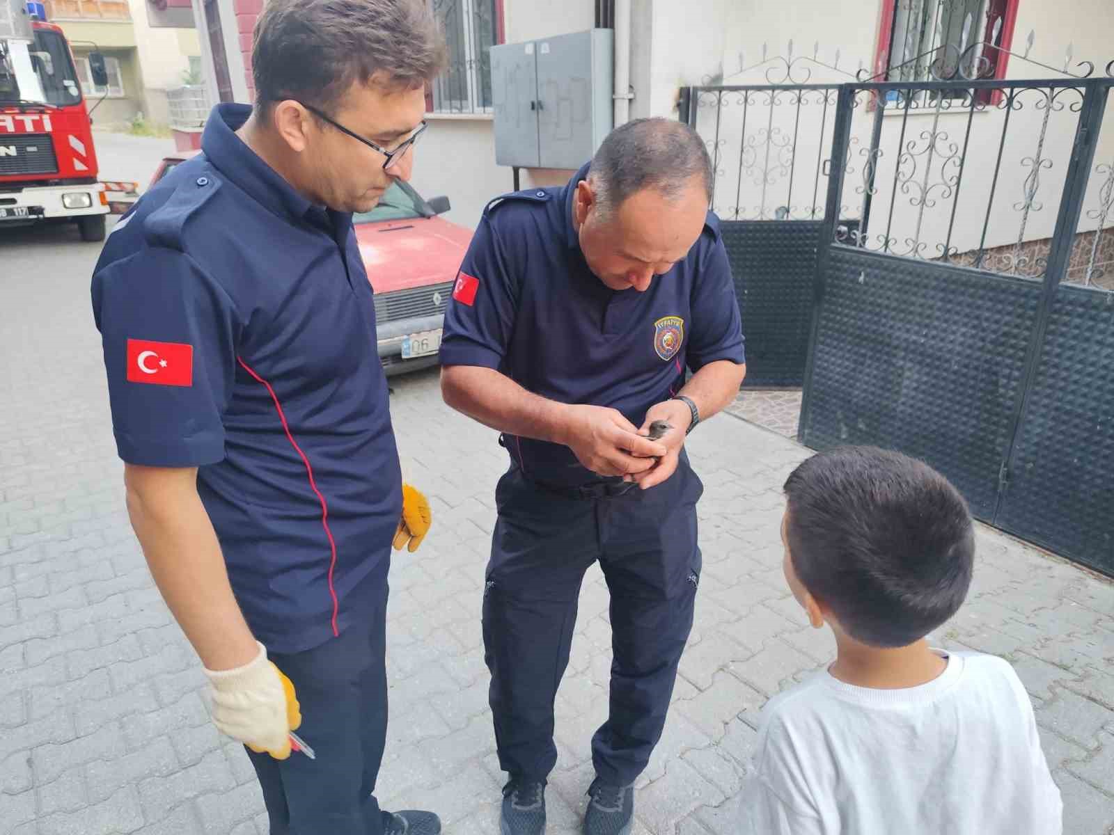 ÇORUM’DA ÇATI KENARINA SIKIŞAN KUŞU İTFAİYE KURTARDI
