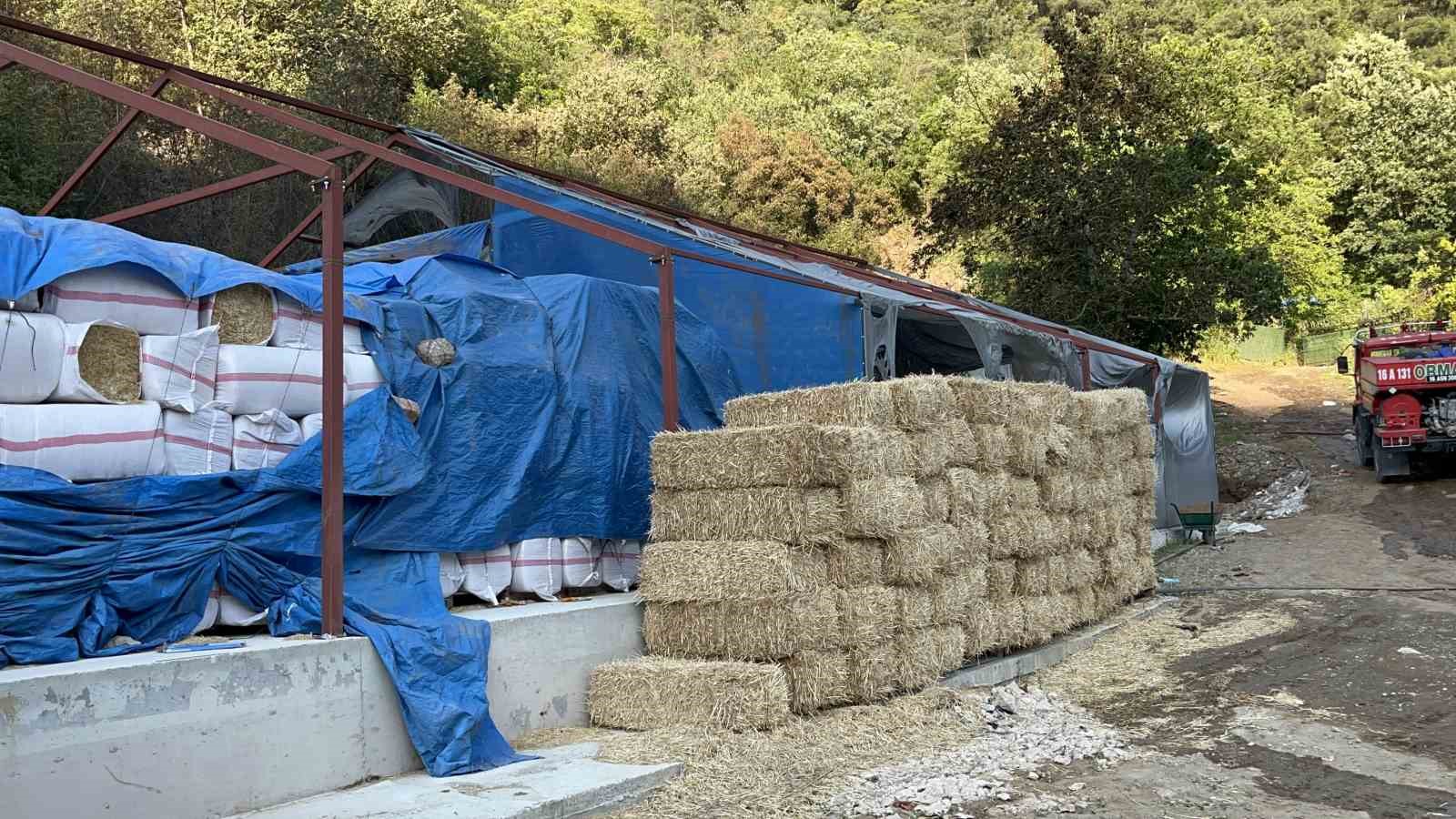 BURSA’DA ORMANA SIÇRAYAN YANGIN KONTROL ALTINA ALINDI