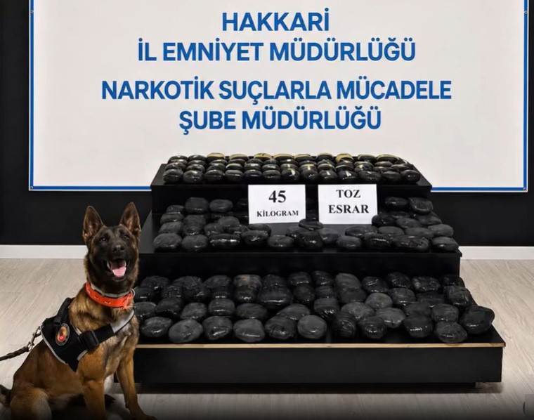 HAKKARİ’DE ARANAN ŞAHIS 45 KİLO UYUŞTURUCUYLA YAKALANDI