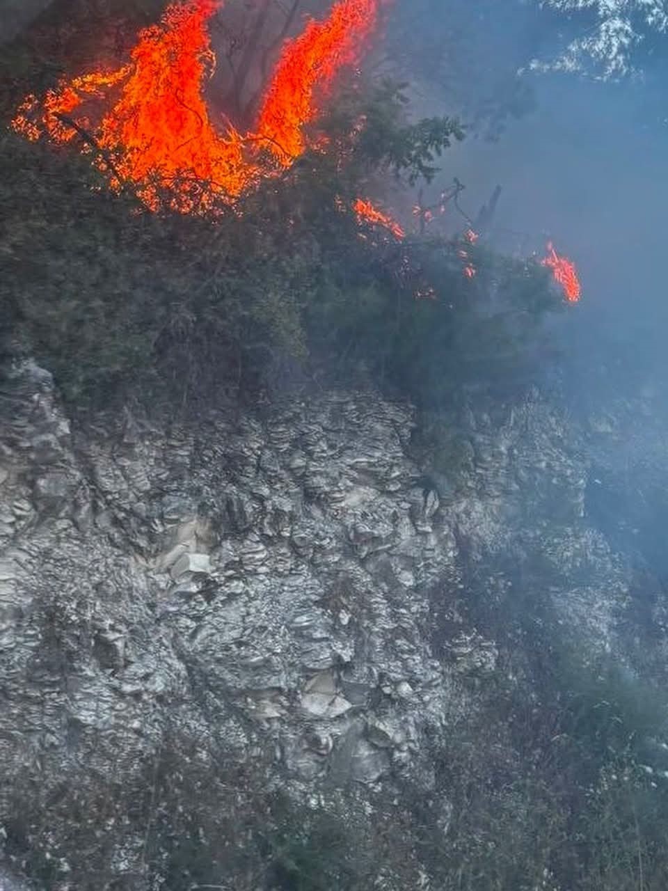 YAYLADAĞI’NDA ORMANLIK ALANDA ÇIKAN YANGIN KONTROL ALTINA ALINDI