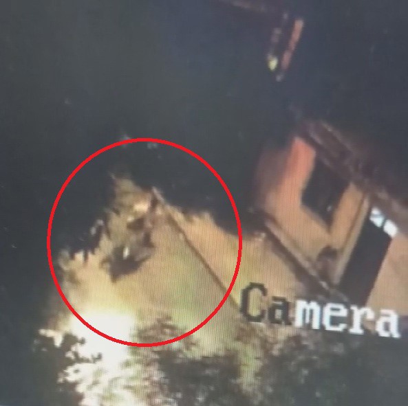 MOTOSİKLETİ RAHAT TAVIRLARLA ÇALAN HIRSIZIN O ANLARI KAMERADA