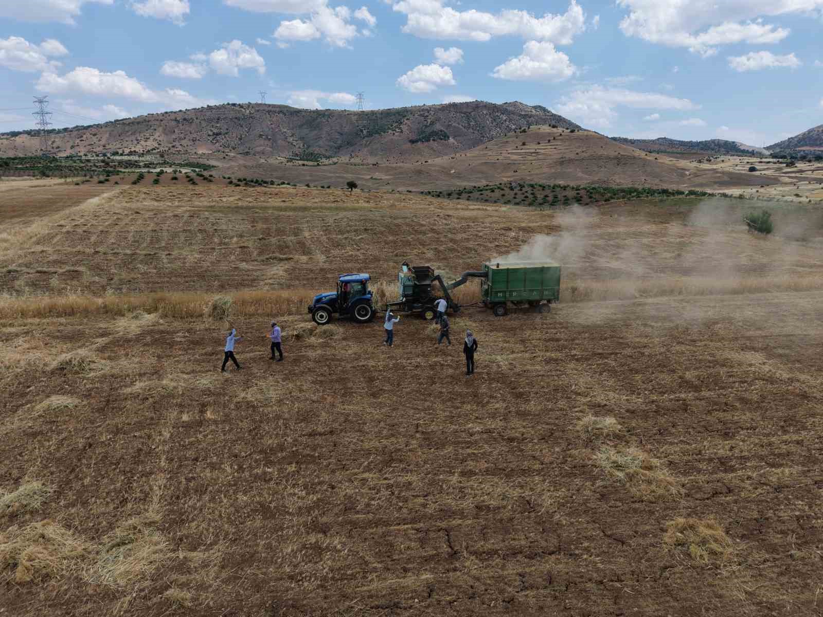 GERCÜŞ’TE KAVURUCU SICAKTA ’OYUN HAVALI’ HASAT