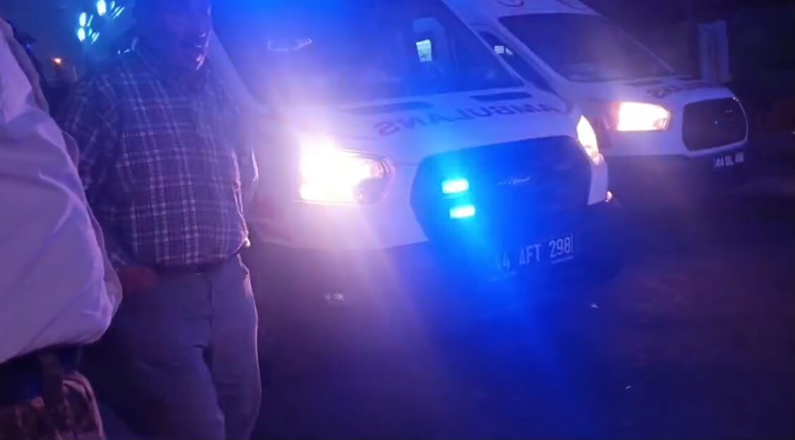 MALATYA’DA AKRABALAR ARASINDA "DUT AĞACI" KAVGASI: 1’İ ÇOCUK 3 YARALI