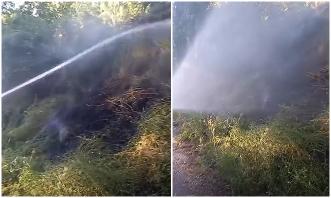 YOZGAT’IN MİLLİ PARKI ÇAMLIK YANGIN TEHLİKESİ ATLATTI