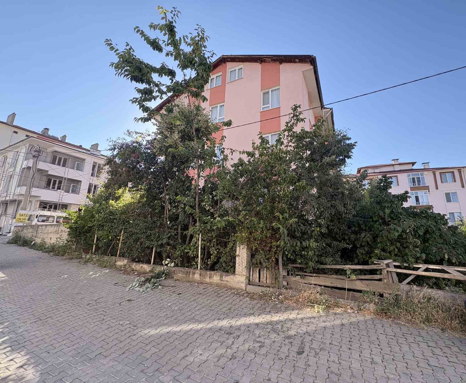 IHLAMUR AĞACINDAN DÜŞEN EMEKLİ ÖĞRETMEN YARALANDI