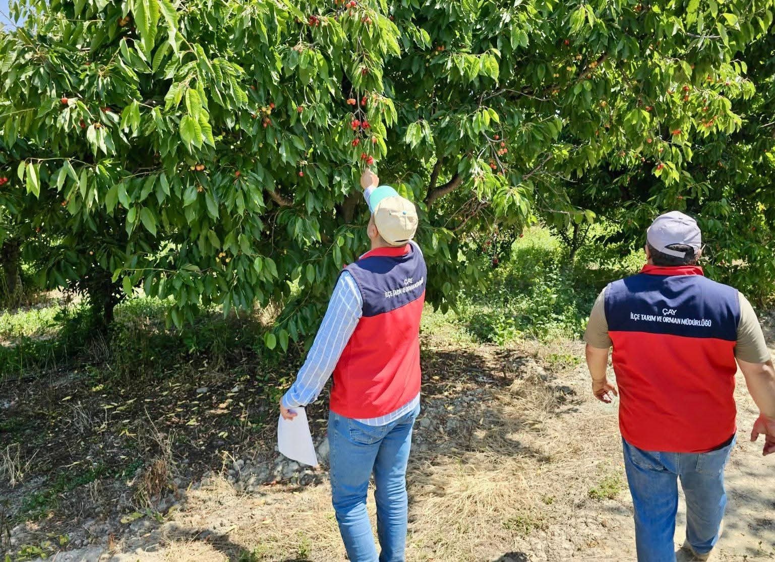DOLU YAĞIŞINDAN DOLAYI HASAR TESPİT ÇALIŞMALARI SÜRÜYOR