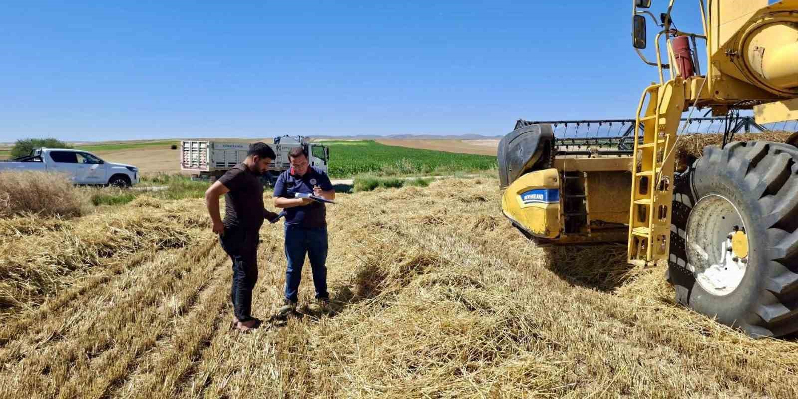 AFYONKARAHİSAR’DA HUBUBAT HASADI BAŞLADI
