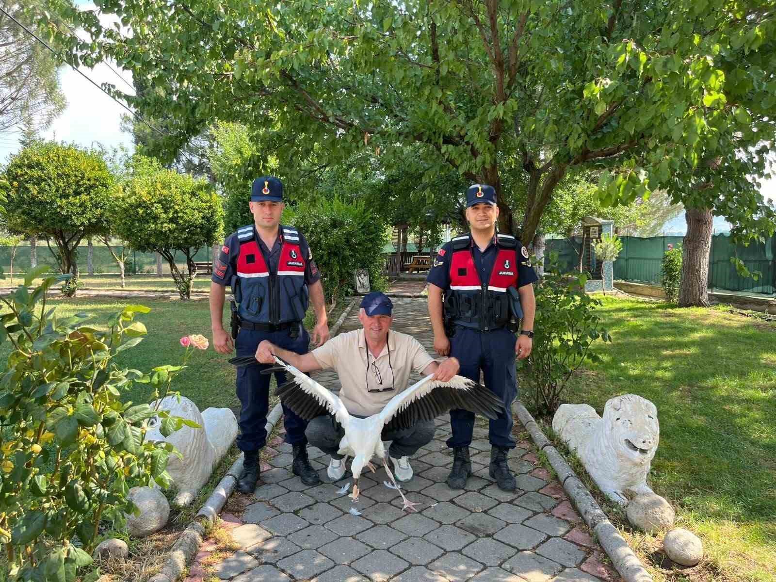 YARALI LEYLEK İÇİN SEFERBER OLDULAR