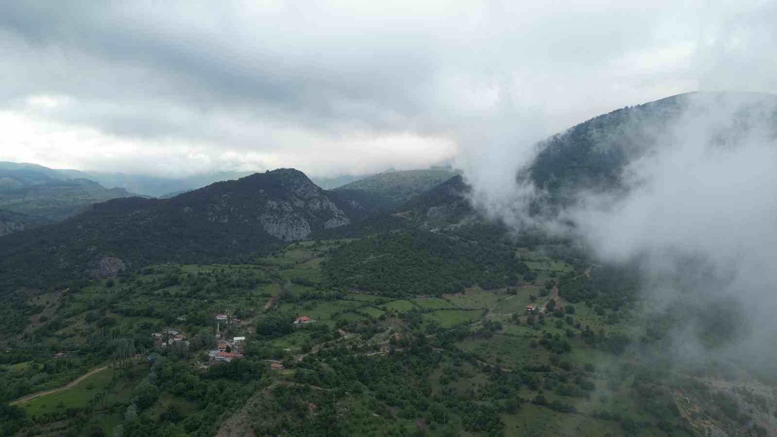 AMASYA’DA ORMANLIK ALANLARA GİRİŞLER YASAKLANDI