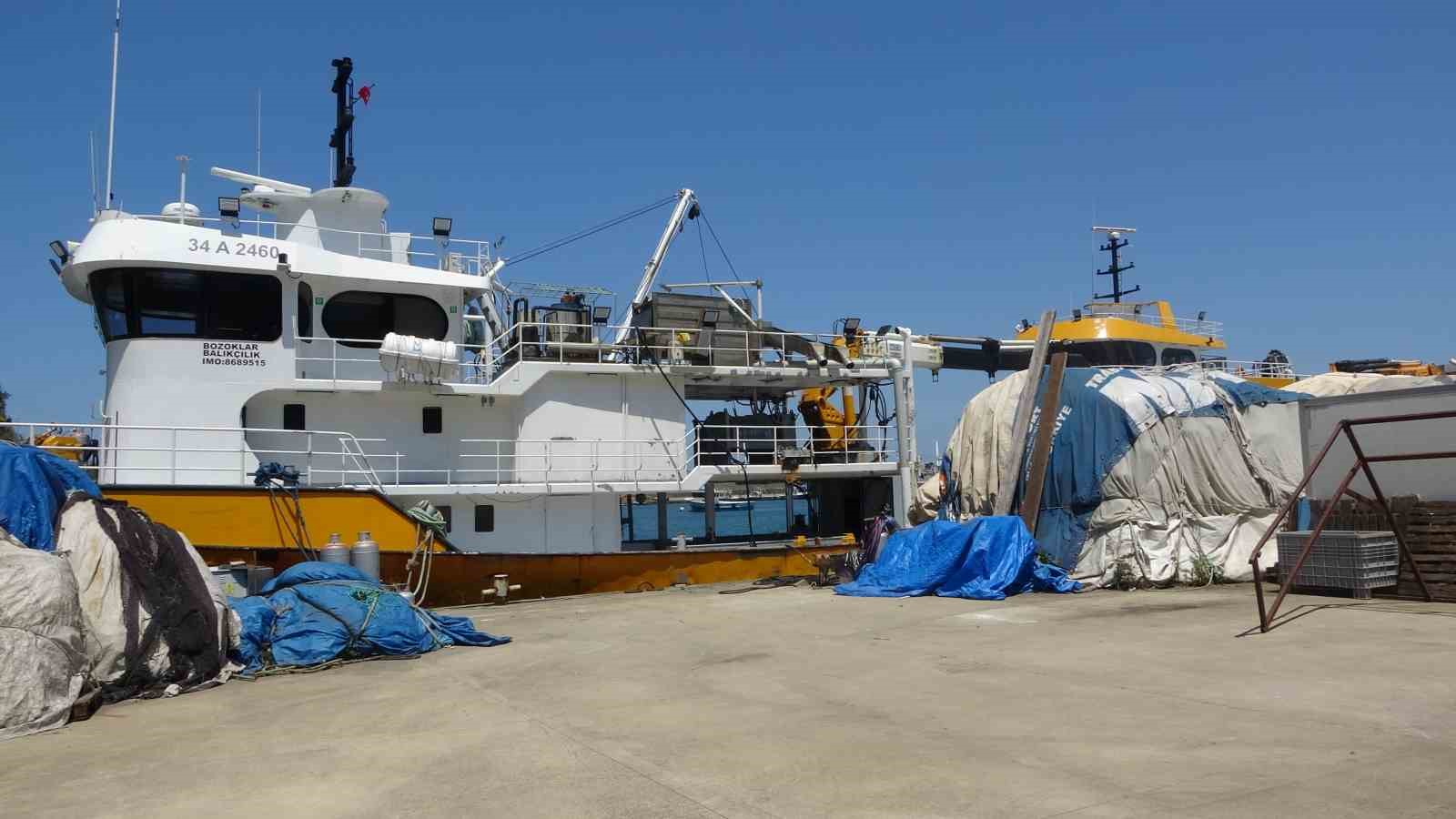 BALIKÇILARIN YENİ SEZONDA UMUDU PALAMUT