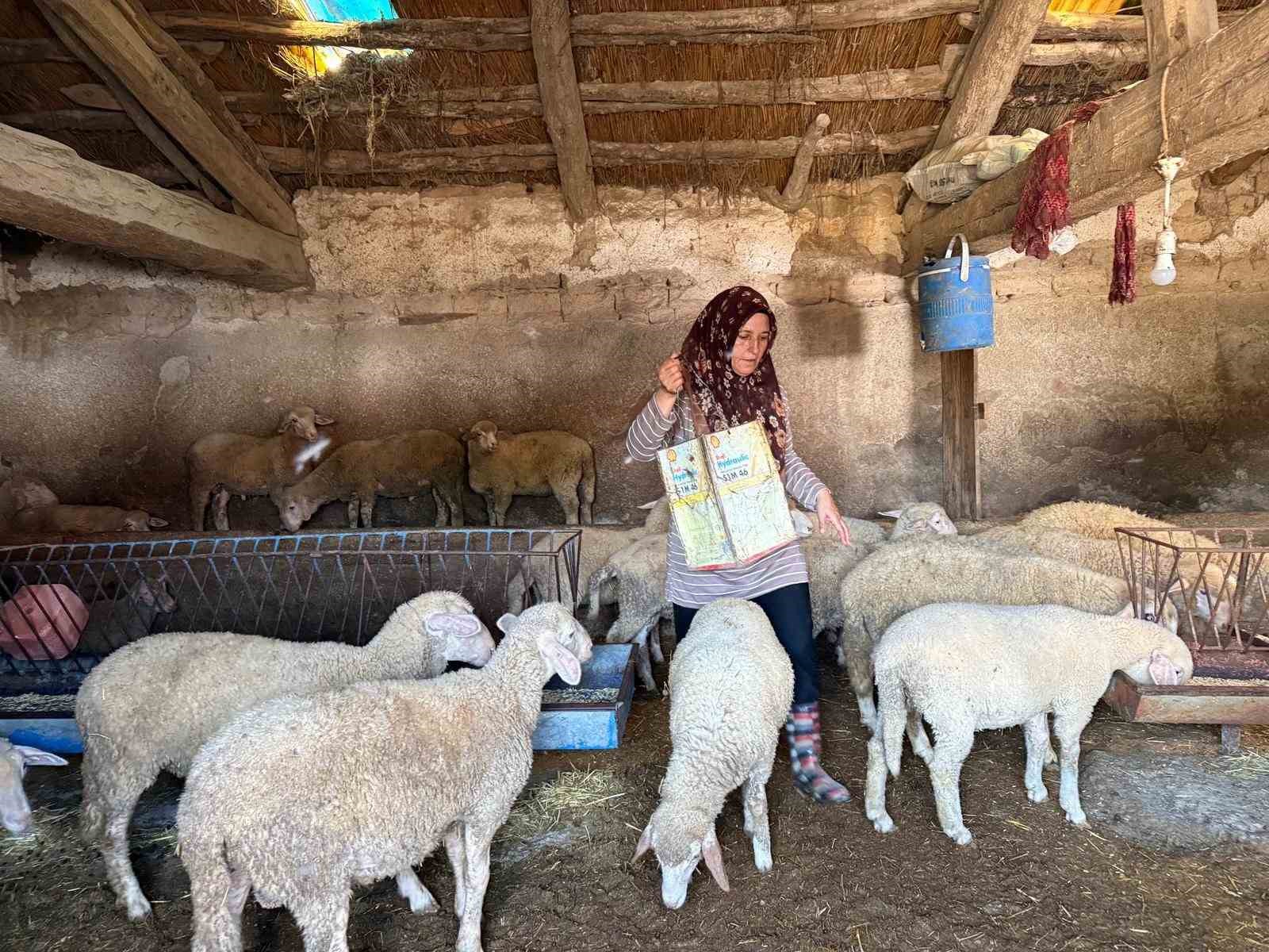"HAYVANLARA BÜYÜ YAPTI" DENİLEREK VAHŞİCE ÖLDÜRÜLEN ADAMIN KARISI TEK BAŞINA ÇOBANLIK YAPARAK 2 OĞLUNU OKUTMAYA ÇALIŞIYOR