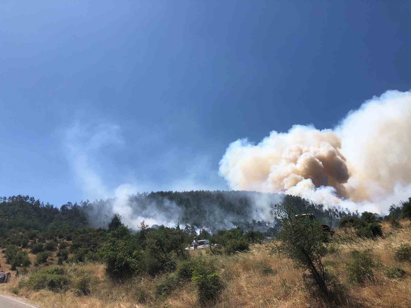 BALIKESİR KEPSUT’TA ORMAN YANGINI