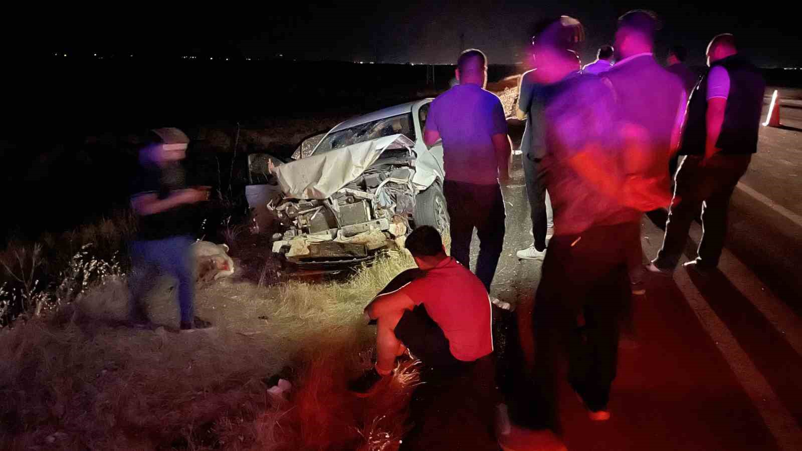 SİVEREK’TE OTOMOBİL KOYUN SÜRÜSÜNE DALDI: 3 KİŞİ YARALANDI, 11 KOYUN TELEF OLDU