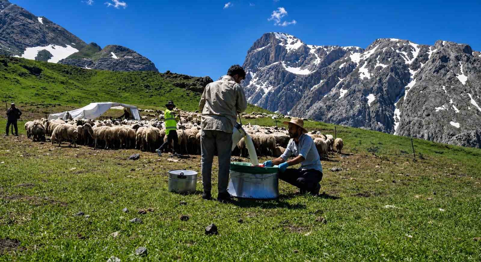 ZORLU YAYLA ŞARTLARINDA TESCİLLİ LEZZET ÜRETİLİYOR