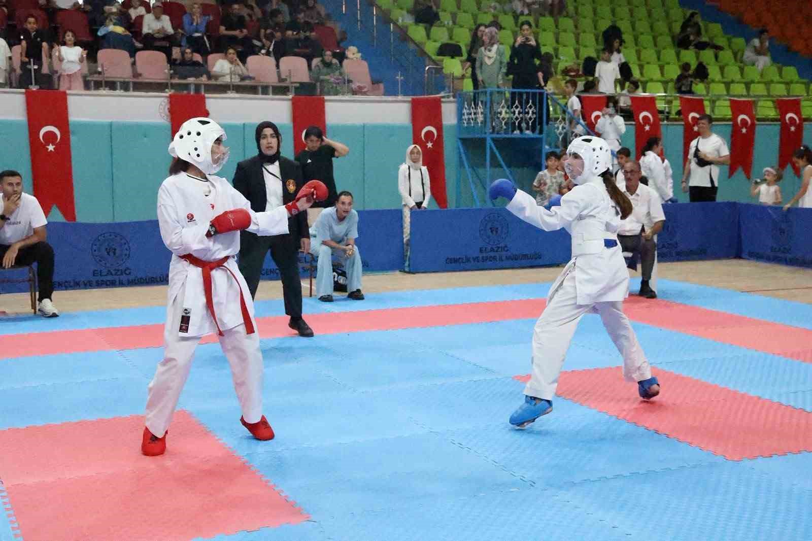 ELAZIĞ’DA KARATE GRUP MÜSABAKALARI TAMAMLANDI