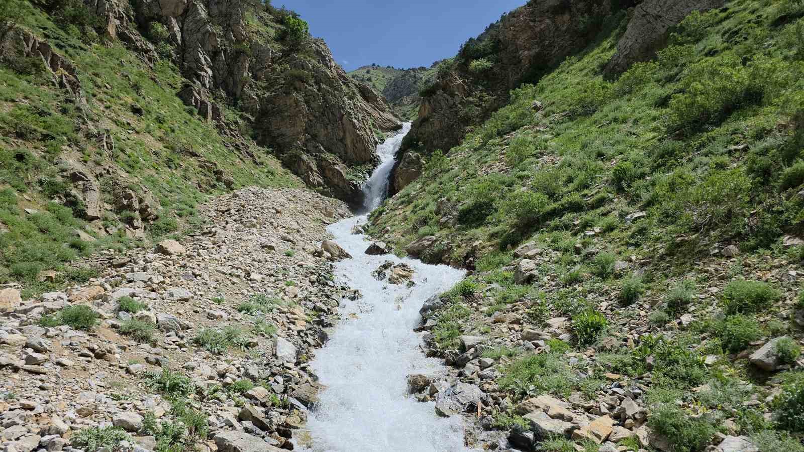 20 YIL SONRA YENİDEN HAYAT BULDU: ÇATAK’TA KURUYAN SU KAYNAĞI AKMAYA BAŞLADI