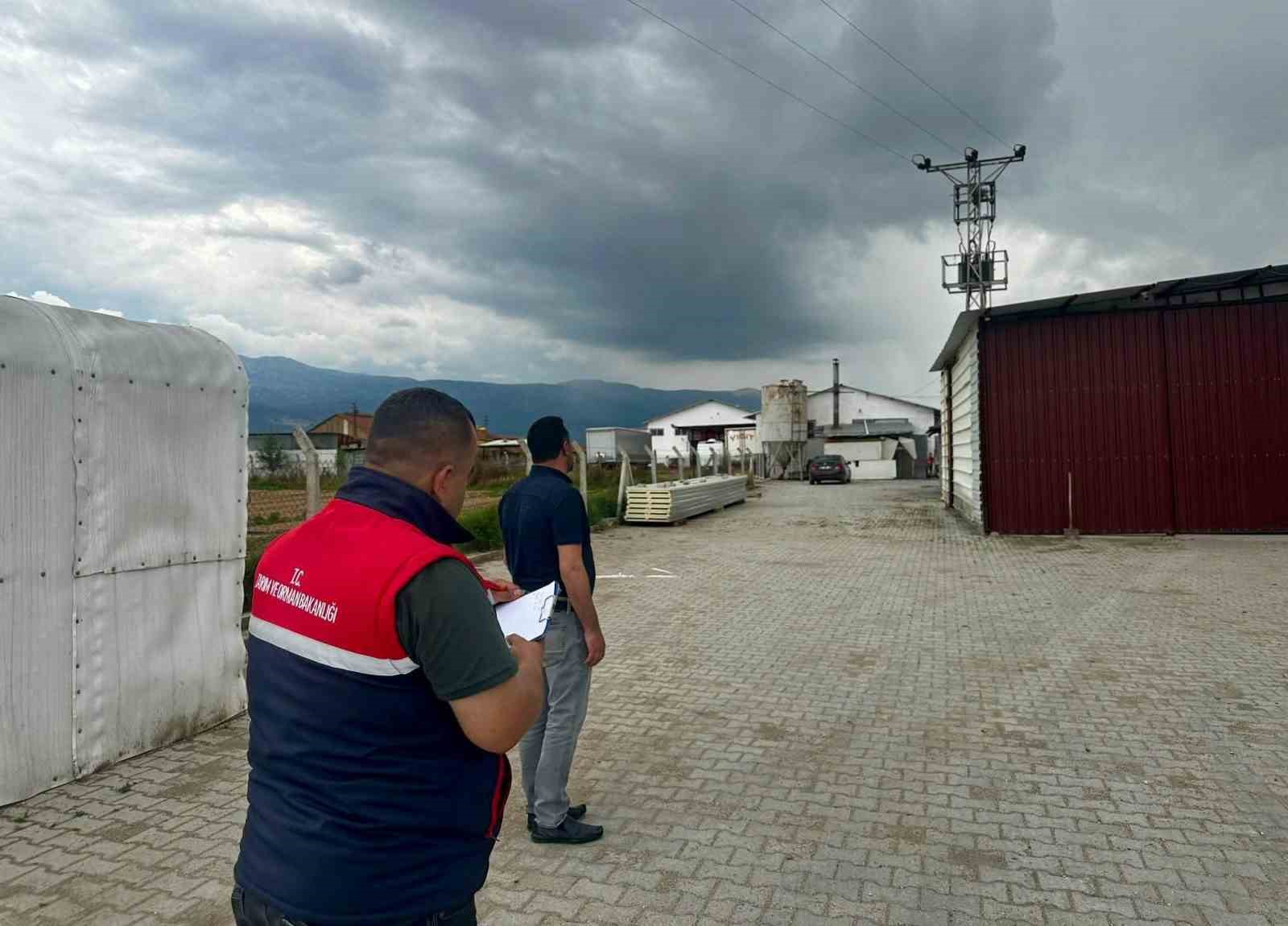 KANATLI HAYVAN İŞLETMELERİNE YÖNELİK DENETİM