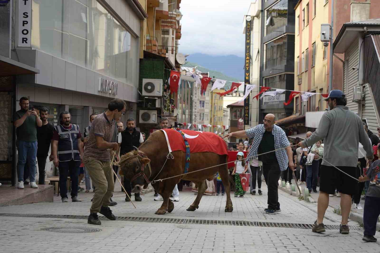 "KAFKASÖR FESTİVALİ" BOĞALI KORTEJ YÜRÜYÜŞÜYLE BAŞLADI
