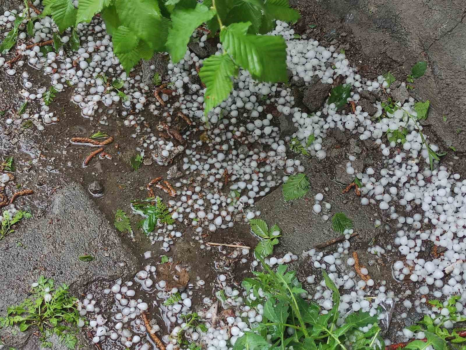 ARDAHAN’DA SAĞANAK VE DOLU YAĞIŞI TARIM ARAZİLERİNE ZARAR VERDİ