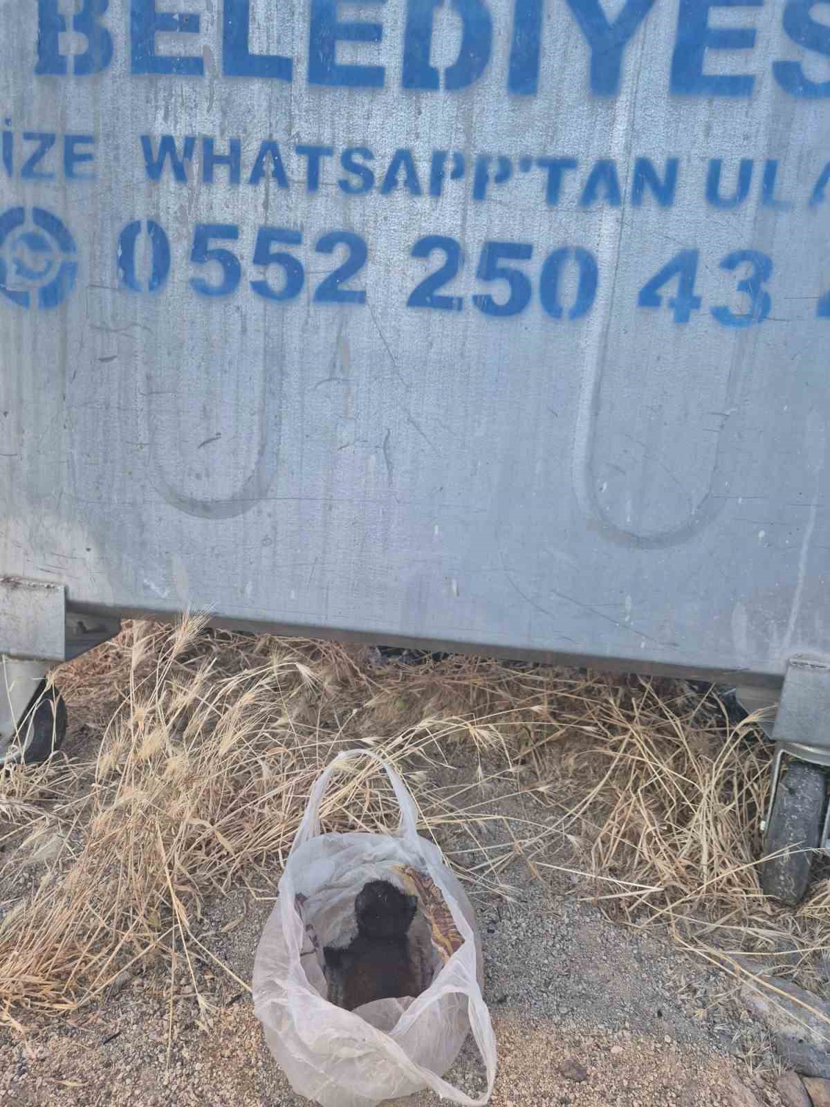 ESKİŞEHİR’DE KAN DONDURAN OLAY: YAVRU KEDİNİN AĞZINI BANTLAYIP POŞETLE ÇÖPE ATTILAR