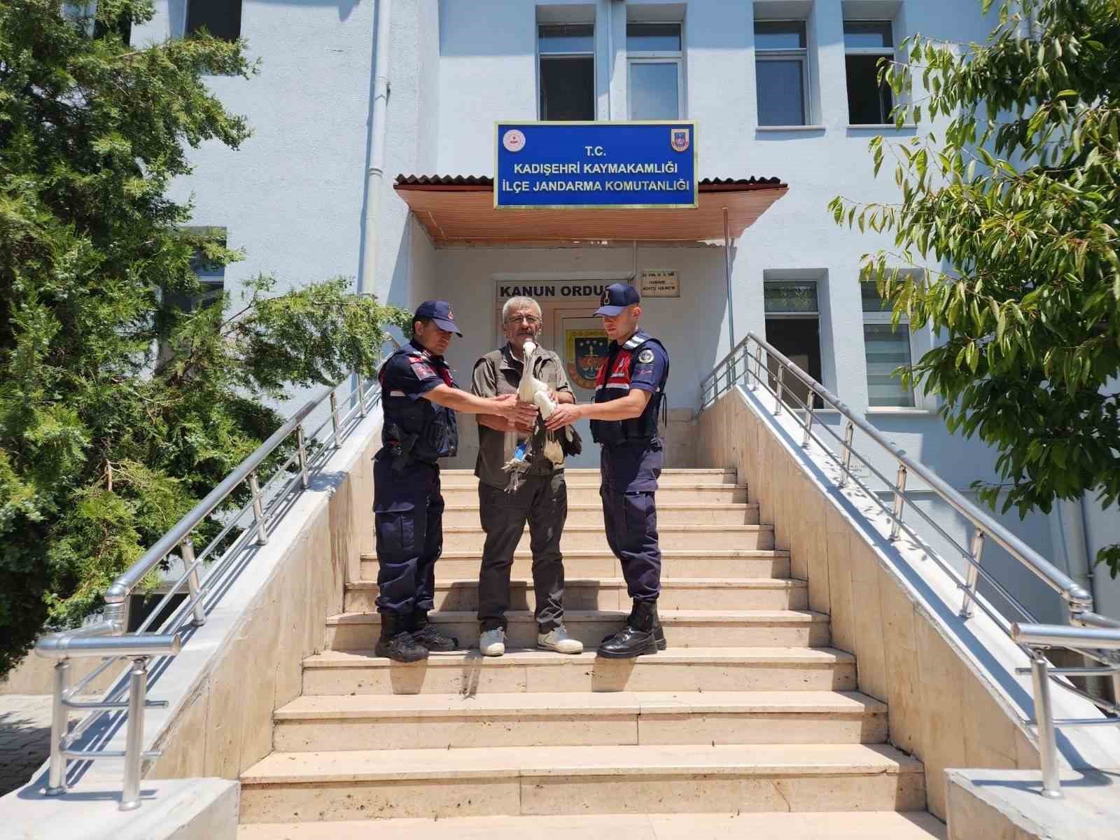 YARALI LEYLEK TEDAVİ ALTINA ALINDI