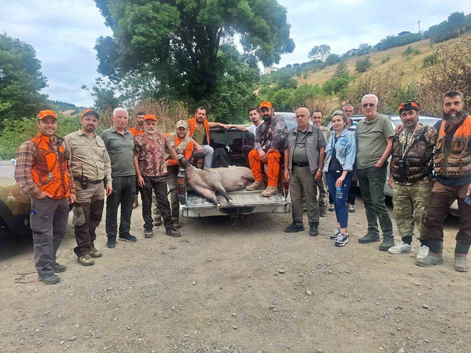FINDIK SEZONU ÖNCESİ DOMUZ ALARMI: AVCILAR HAREKETE GEÇTİ