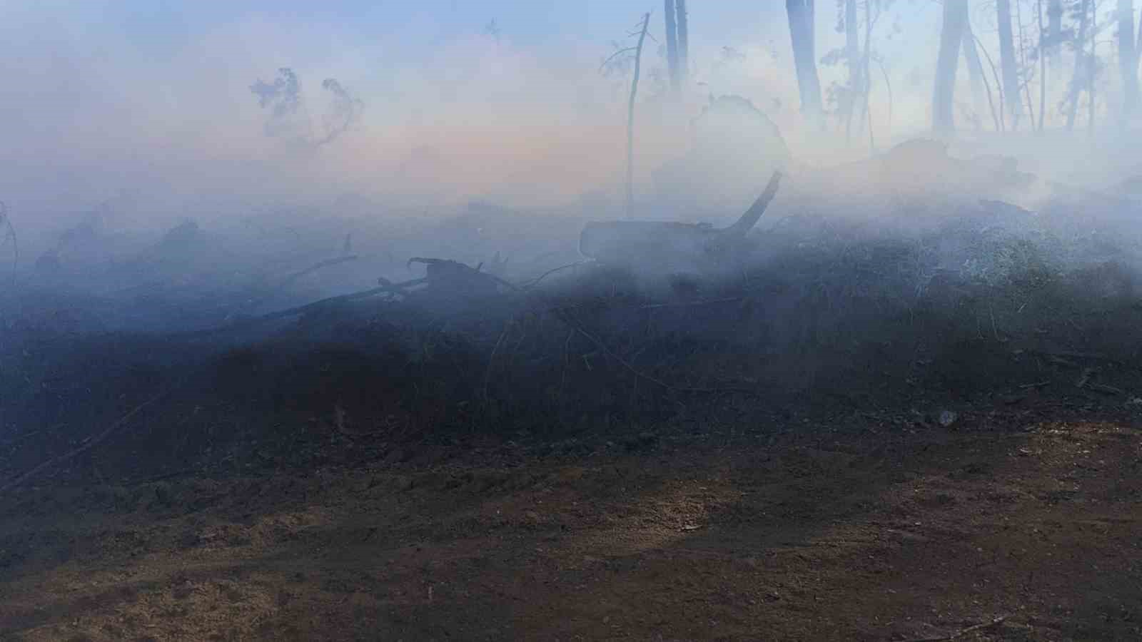 ARAÇ YANGINI ORMANLIK ALANA SIÇRADI, EKİPLER ALEVLERİ BÜYÜMEDEN SÖNDÜRDÜ