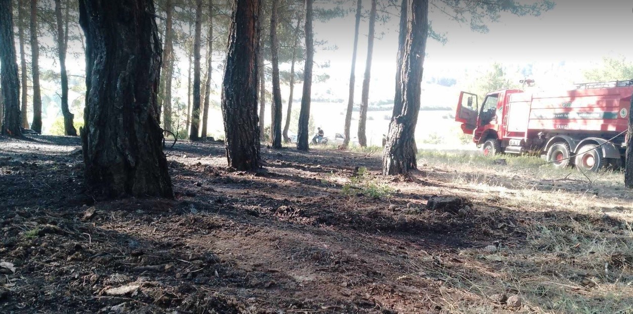 TAVŞANLI’DA ERKEN MÜDAHALE ORMANI KURTARDI