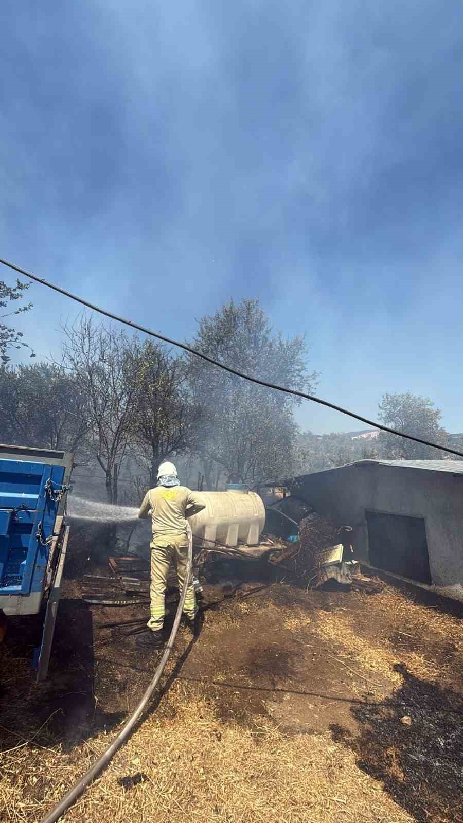 HAVRAN FAZLICA’DA KORKUTAN YANGIN