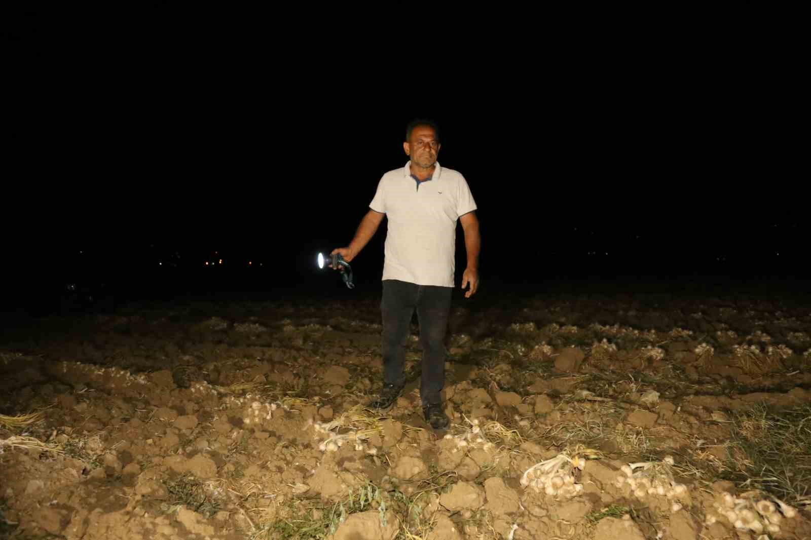 ÇİFTÇİLERİN "BEYAZ ALTIN" NÖBETİ: BİR YILLIK EMEKLERİ İÇİN SABAHA KADAR TARLADA BEKLİYORLAR