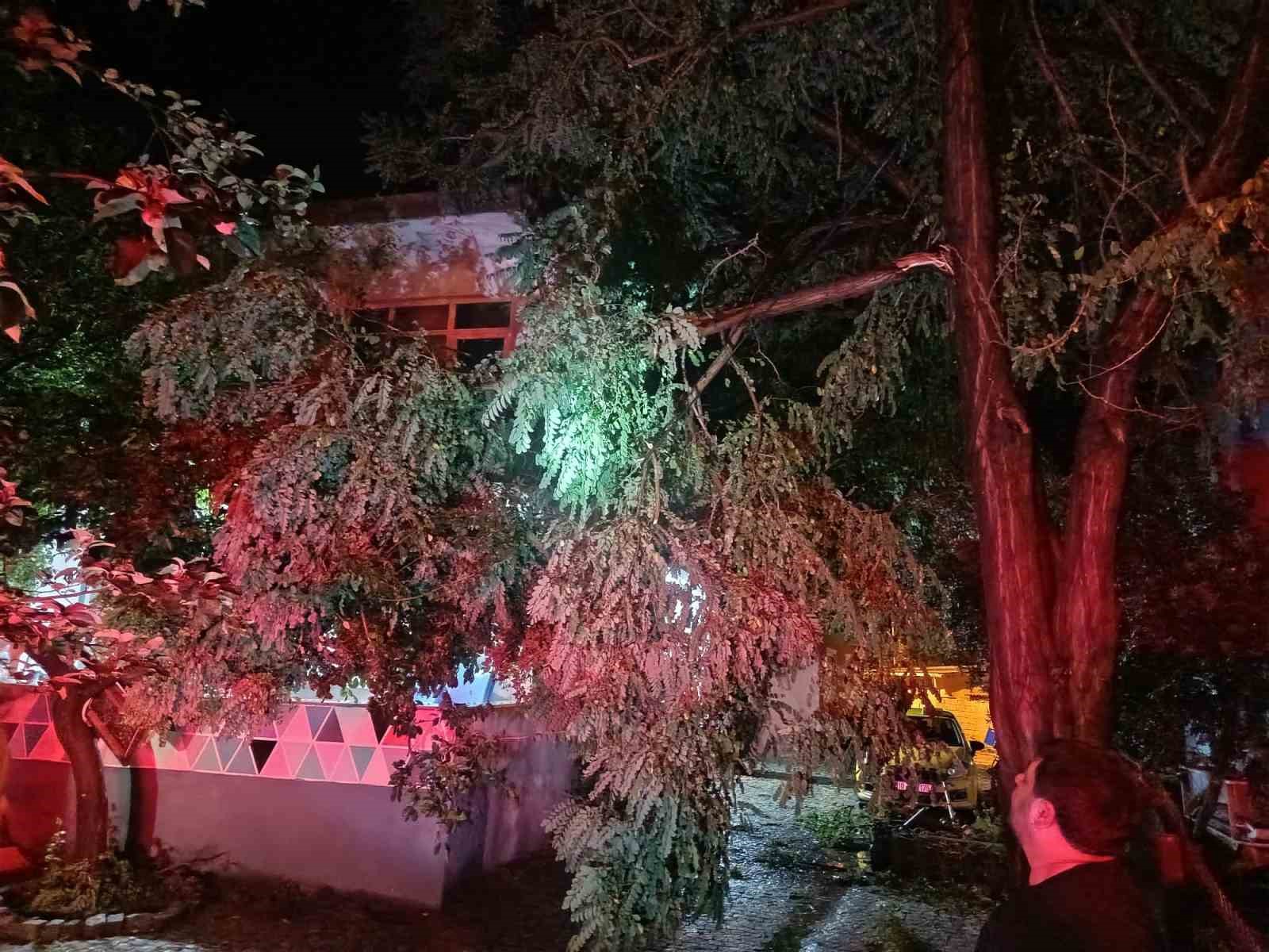 ERDEK’TE FIRTINA VE DOLU YAĞIŞI: AĞAÇLAR DEVRİLDİ, ÇATILAR UÇTU