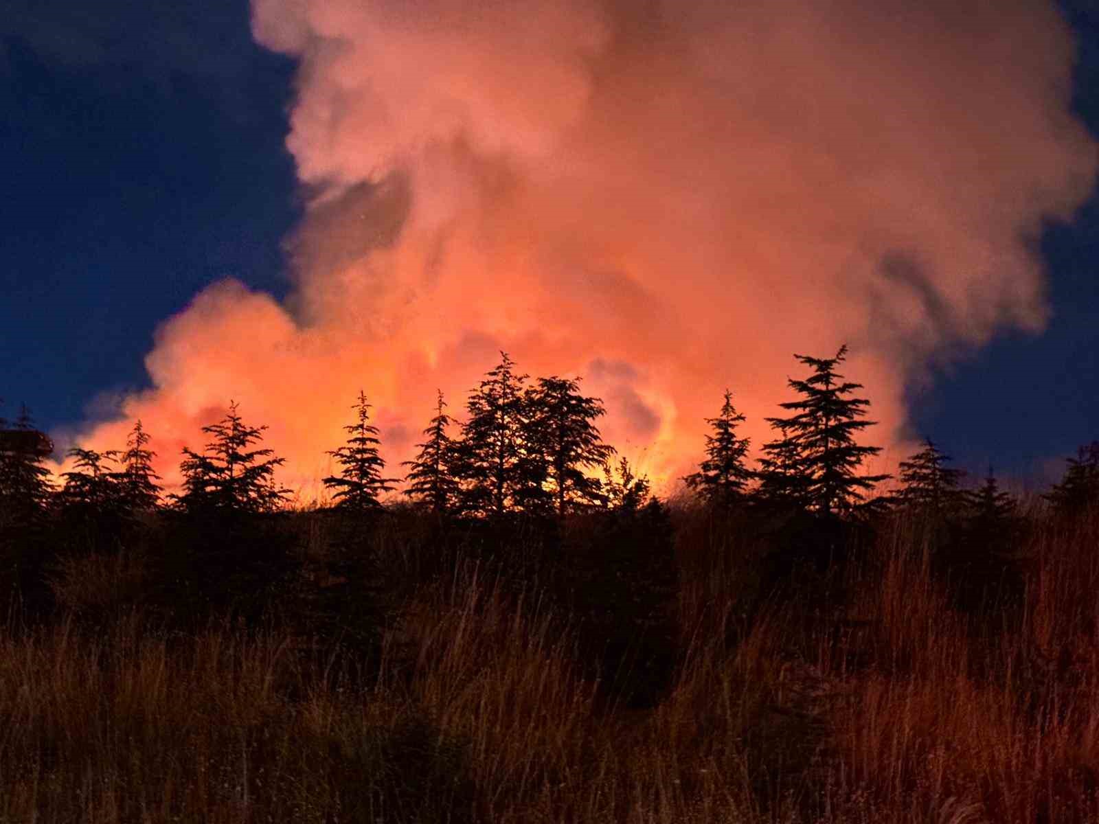 ANKARA’DA OTLUK ARAZİDE ÇIKAN YANGIN SÖNDÜRÜLDÜ