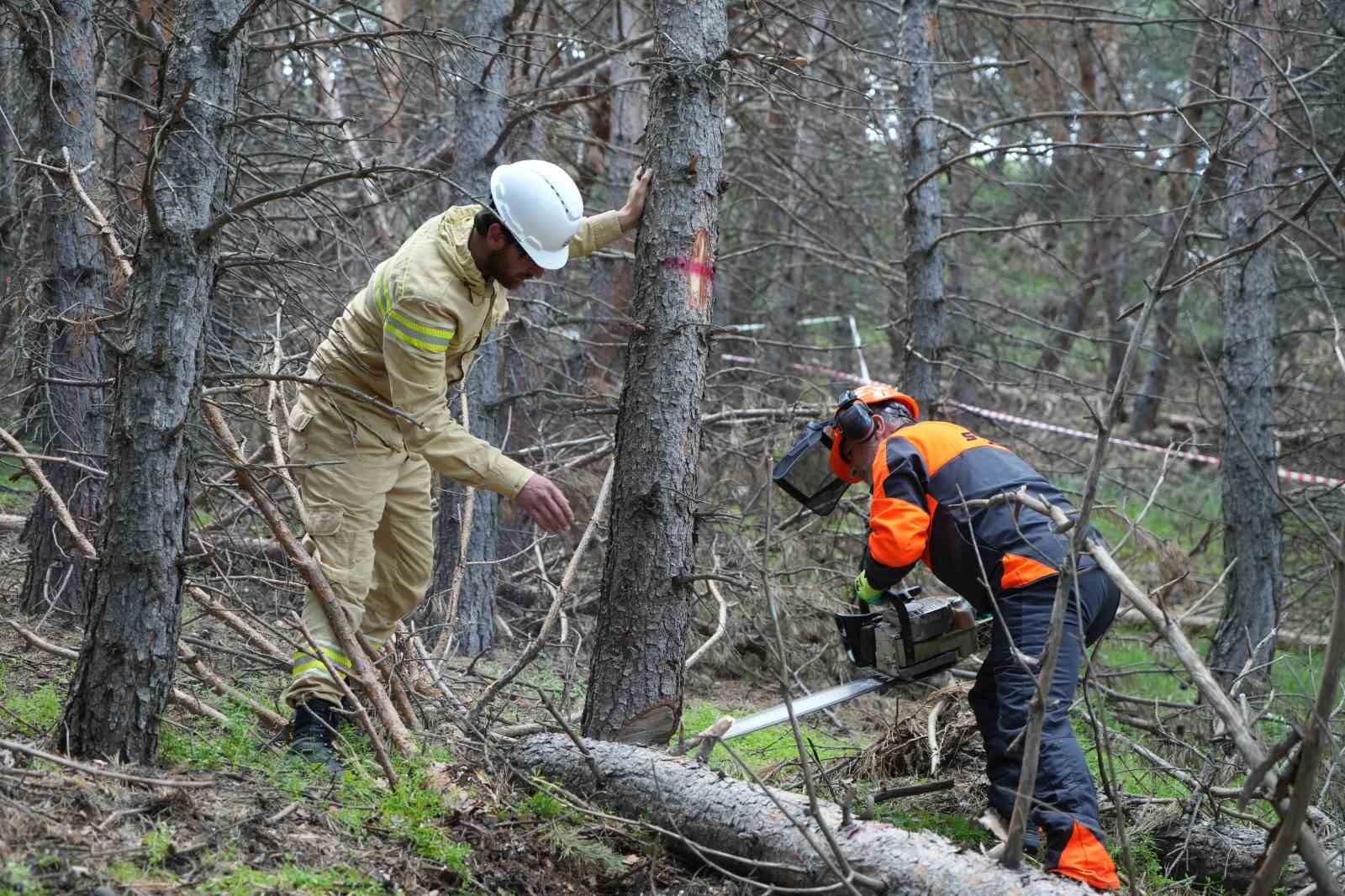 ERZURUM’UN AKCİĞERLERİNE PLANLI DOKUNUŞ