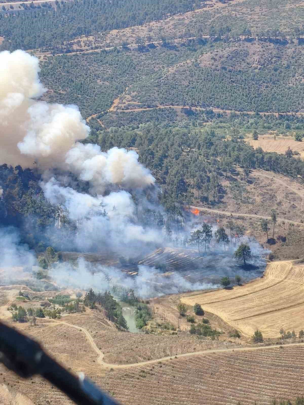 BURSA’DA OTLUK ALANDA ÇIKAN YANGIN ORMANA SIÇRADI