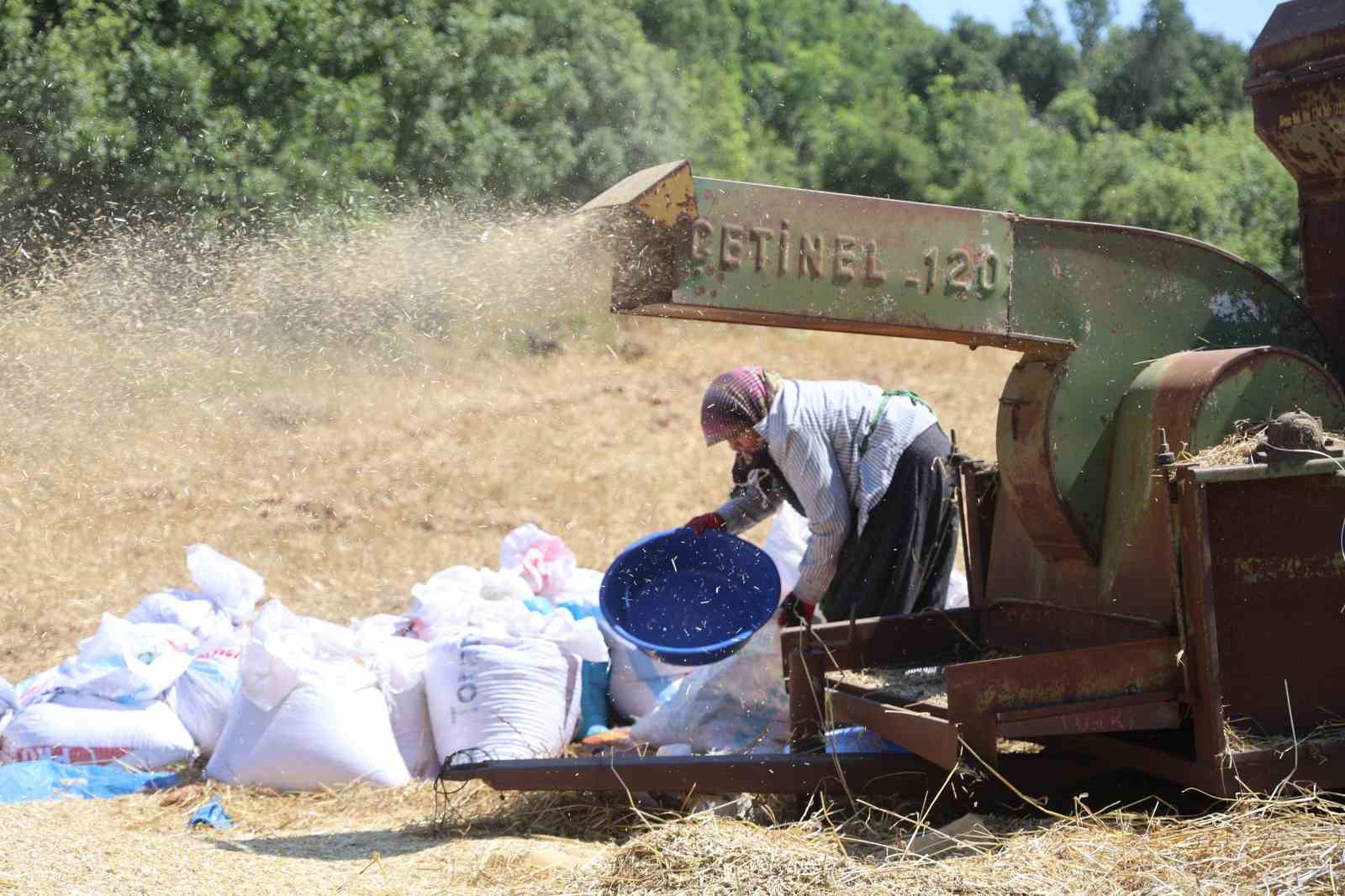 HATAYLI ÇİFTÇİLERİN KAVURUCU SICAKTA TOZLU MESAİSİ SÜRÜYOR