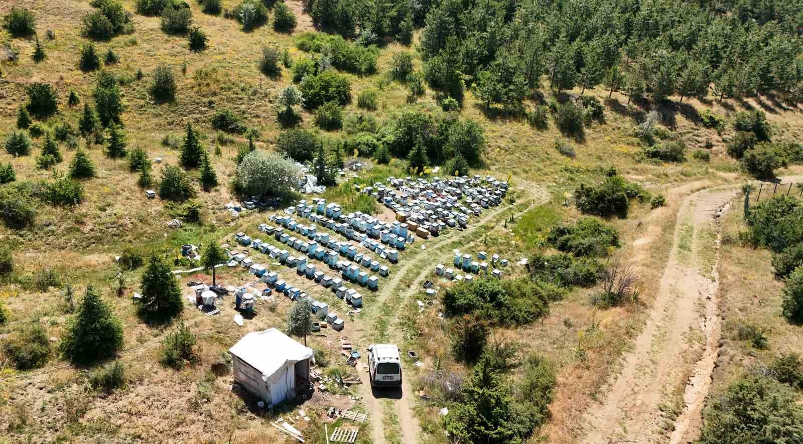 YOZGAT’IN ZENGİN BİTKİ ÖRTÜSÜ ARICILARA UMUT OLDU