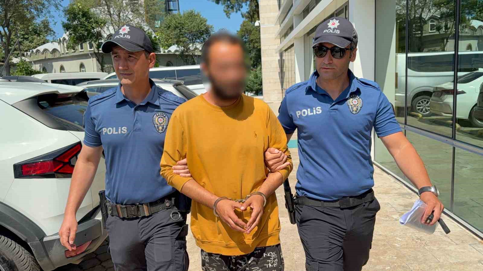 KEDİYE TEKME ATAN ŞAHIS TUTUKLANDI: "SİNİRLİYDİM, PİŞMANIM"