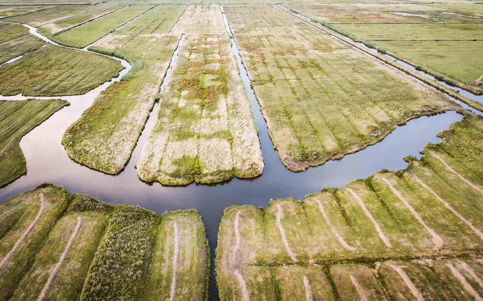 HOLLANDA’DA "SU KITLIĞI" İLAN EDİLDİ