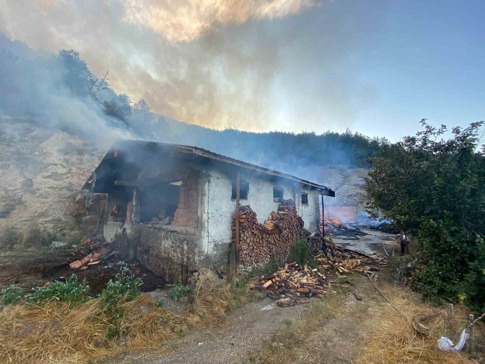 KASTAMONU’DA EVDE ÇIKAN YANGIN ORMANA SIÇRADI