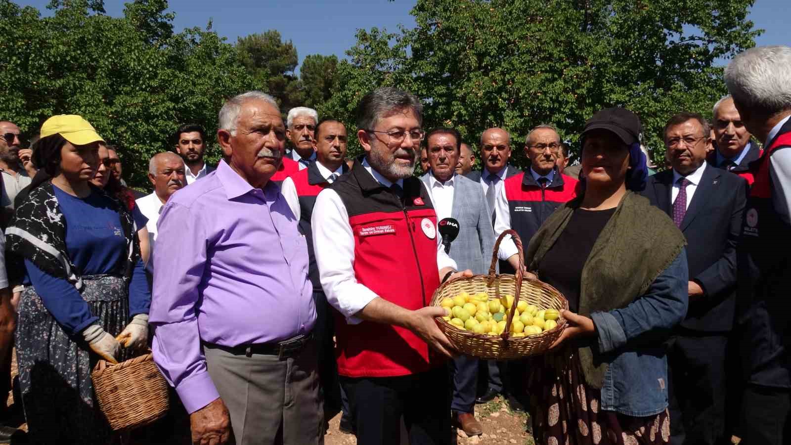 MALATYA’DA KAYISI HASADINA KATILAN BAKAN YUMAKLI: "GEÇTİĞİMİZ SENENİN O KARAMSAR ZAMANINI ÜZERİMİZDEN ATAN ÇOK GÜZEL BİR ÜRÜN GÖRÜYORUZ"