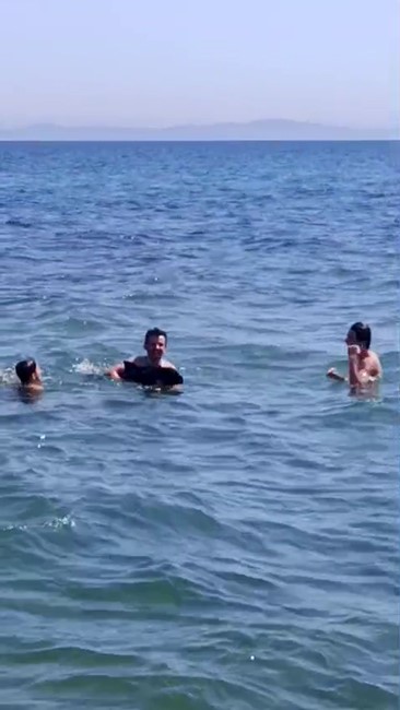 ŞARKÖY’DE DENİZE GİRENLERİN ARASINA YAVRU YUNUS DALDI: EĞLENCELİ ANLAR KAMERADA