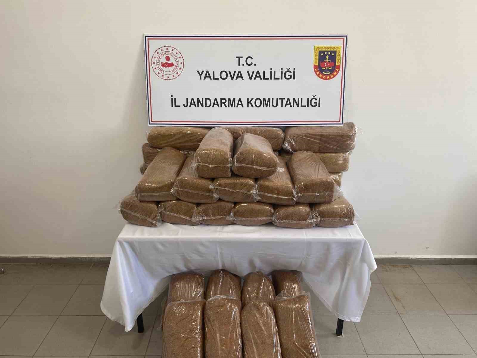 YALOVA’DA 160 KİLO KAÇAK TÜTÜN ELE GEÇİRİLDİ