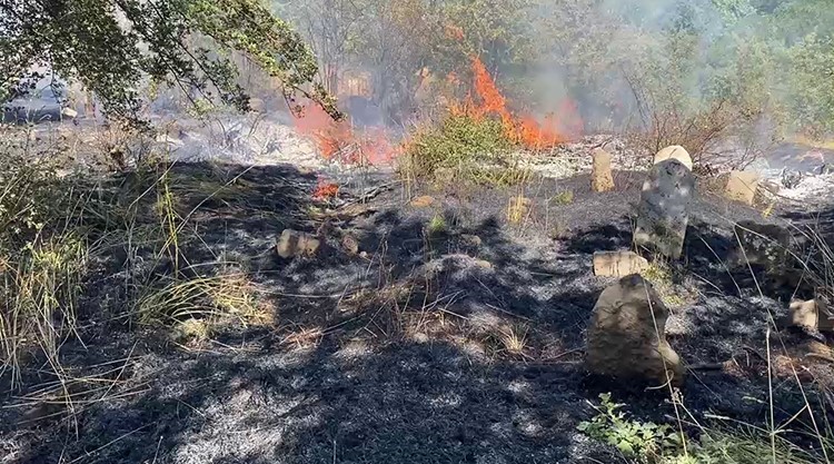 BİTLİS’TE PEŞ PEŞE ÇIKAN YANGINLAR PANİĞE NEDEN OLDU