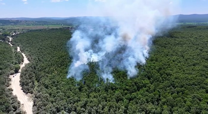 ÇATALCA ORMANLI’DA ORMAN YANGINI HAVADAN VE KARADAN MÜDAHALEYLE SÖNDÜRÜLDÜ