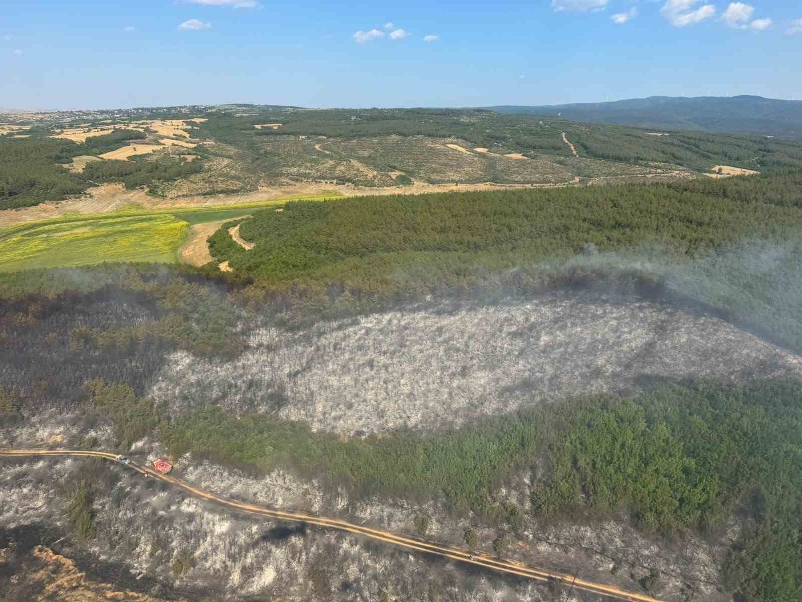 TEKİRDAĞ’DA ORMAN YANGINI: EKİPLER HAVADAN VE KARADAN SEFERBER OLDU