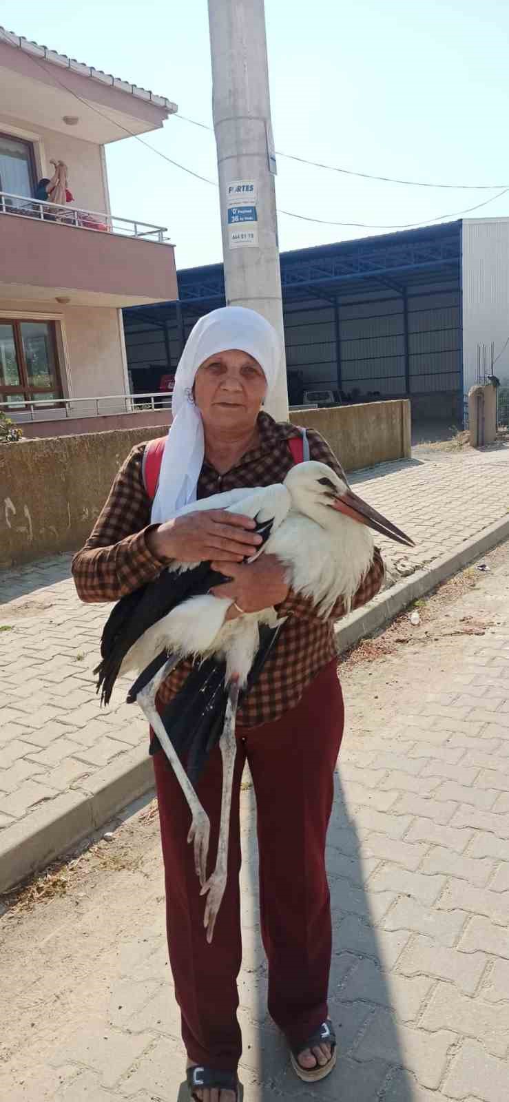 YERDE BİTKİN HALDE BULDUĞU YARALI LEYLEĞE SAHİP ÇIKTI