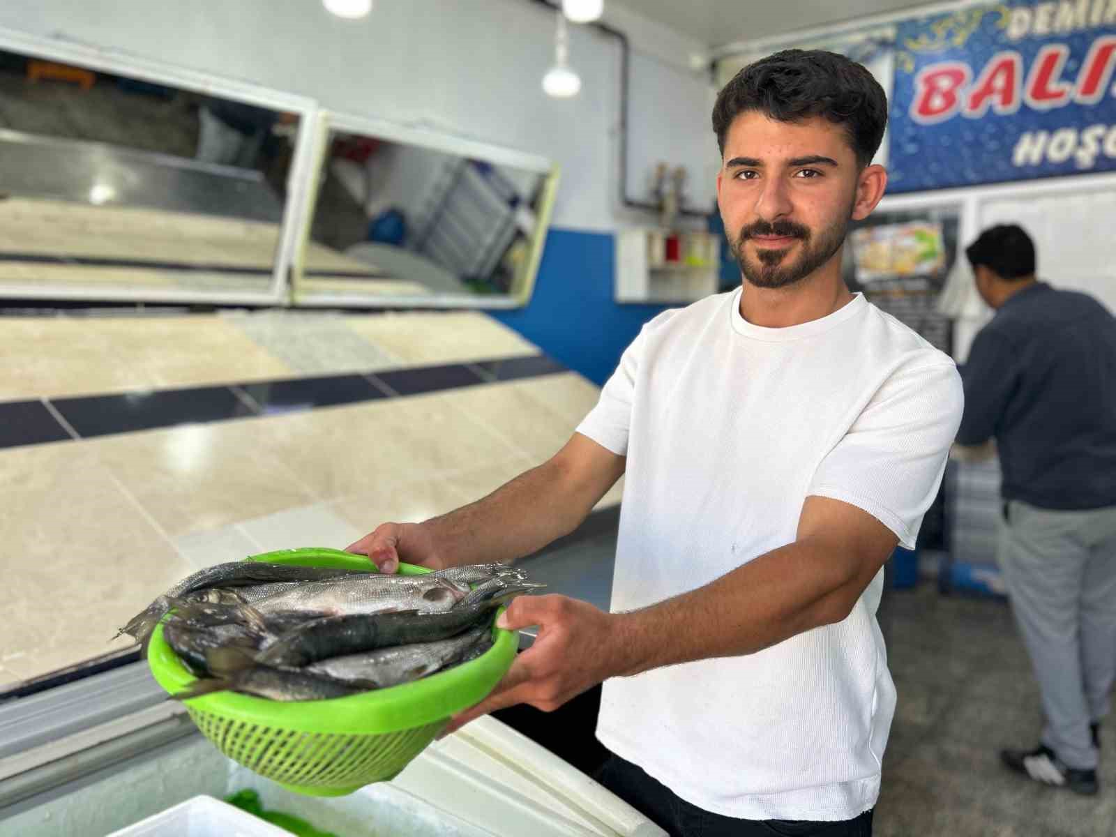 İNCİ KEFALİ TEZGÂHLARDAKİ YERİNİ ALDI