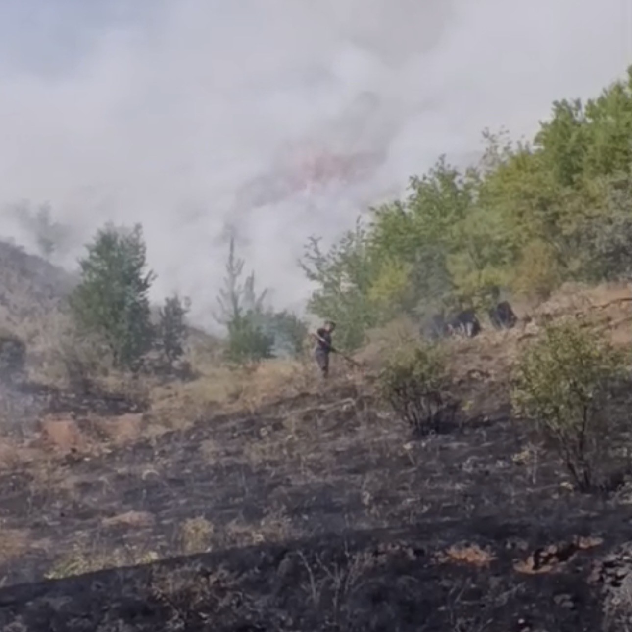 ÇANKIRI’DA ÇIKAN ARAZİ YANGINI SÖNDÜRÜLDÜ
