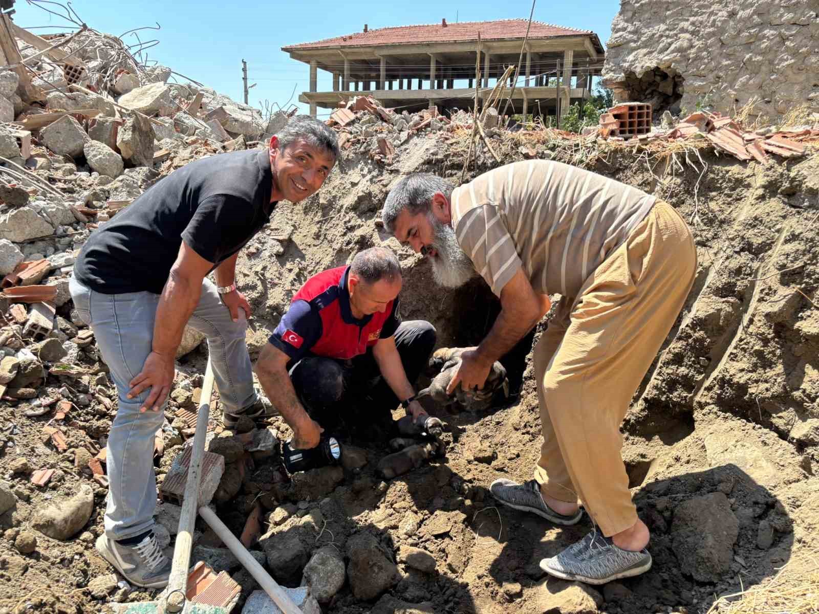 YIKIM HALİNDEKİ BİNADA MAHSUR KALAN 8 YAVRU KÖPEĞİ İTFAİYE KURTARDI