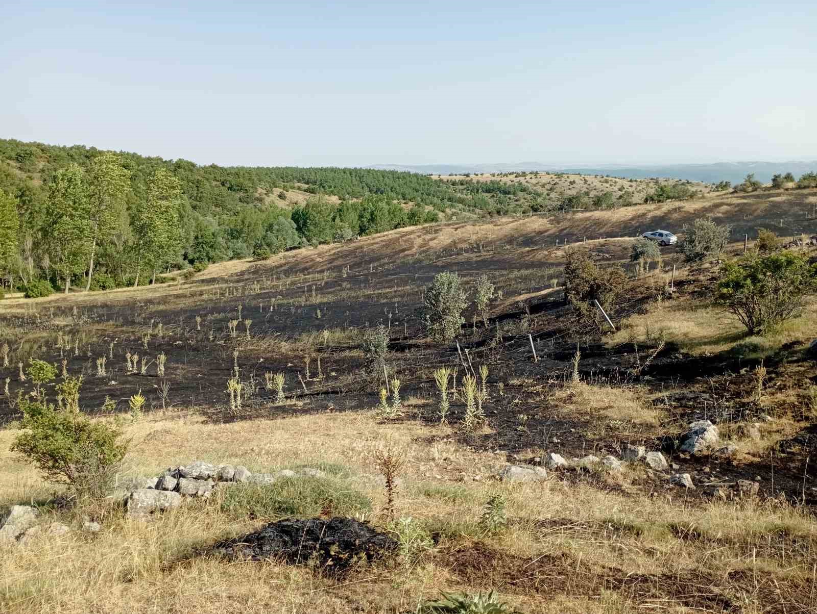TOKAT’TA ÖRTÜ YANGINI: 15 DÖNÜM EKİLİ ARAZİ KÜLE DÖNDÜ